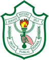 DPS Logo